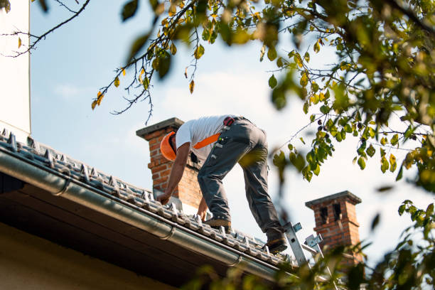 Best Flat Roof Repair Services  in Lakeview, MI