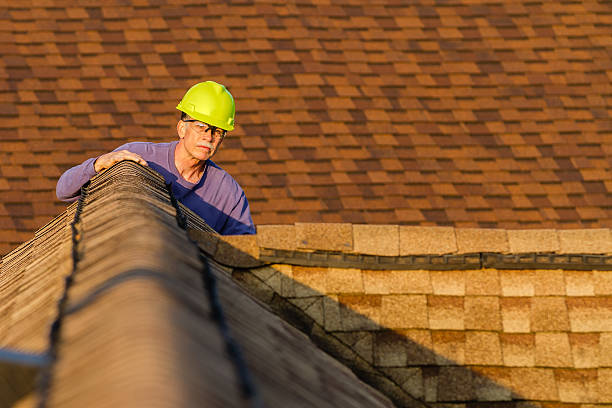 Best Roof Waterproofing Services  in Lakeview, MI