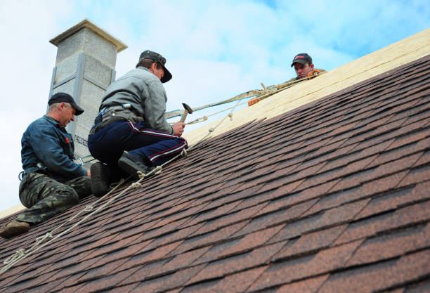 Best Roof Waterproofing Services  in Lakeview, MI
